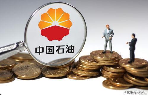 中国石油最新爆料,揭秘能源领域重大突破与挑战